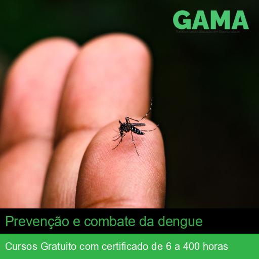 Prevenção e combate da dengue
